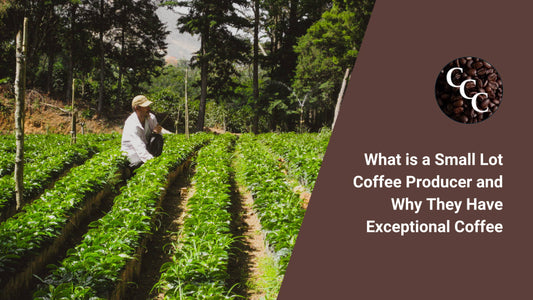 What is a Small Lot Coffee Producer and Why They Have Exceptional Coffee
