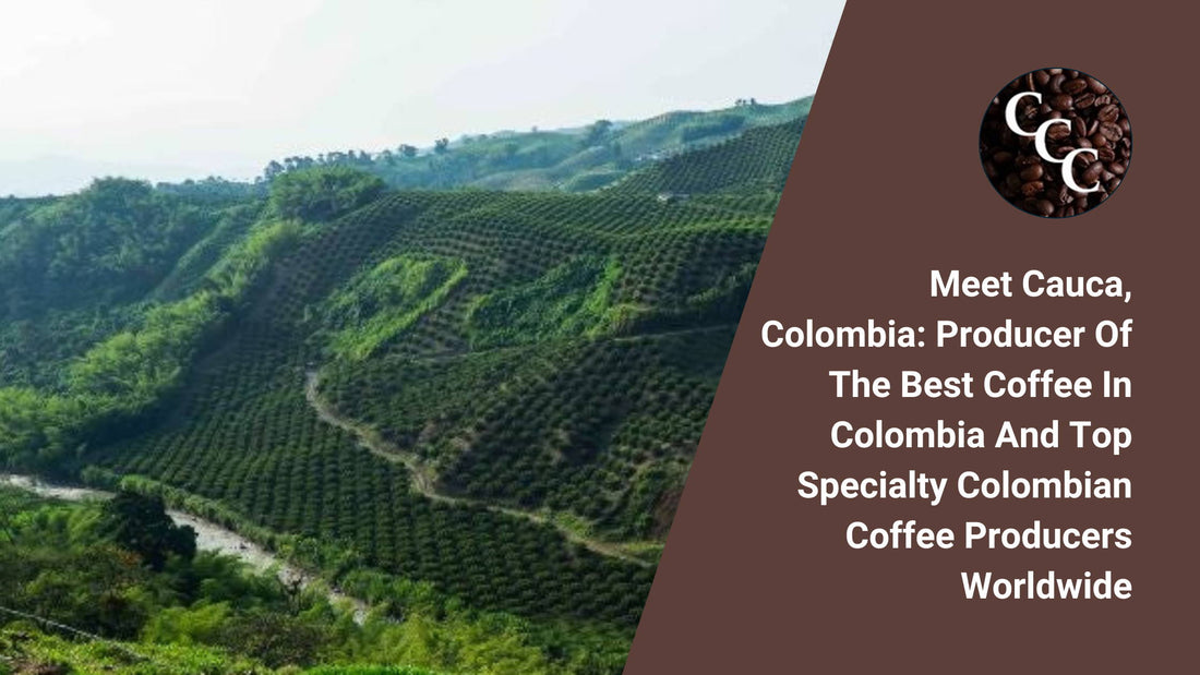 Meet Cauca, Colombia: Producer of the Best Coffee in Colombia and Top Specialty Colombian Coffee Producers Worldwide