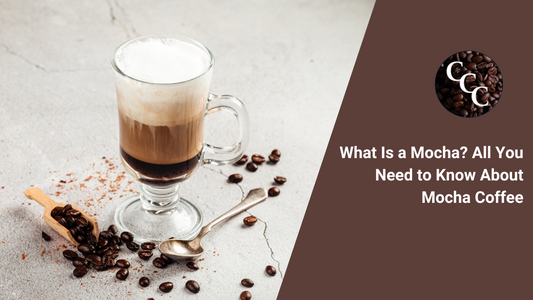 What Is a Mocha? All You Need to Know About Mocha Coffee