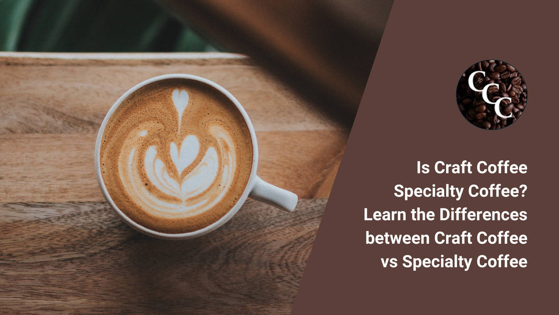 Is Craft Coffee Specialty Coffee? Learn the Differences between Craft Coffee vs Specialty Coffee