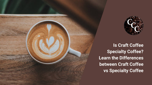 Is Craft Coffee Specialty Coffee? Learn the Differences between Craft Coffee vs Specialty Coffee