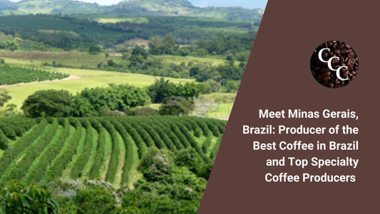 Meet Minas Gerais, Brazil: Producer of the Best Coffee in Brazil and Top Specialty Coffee Producers Worldwide
