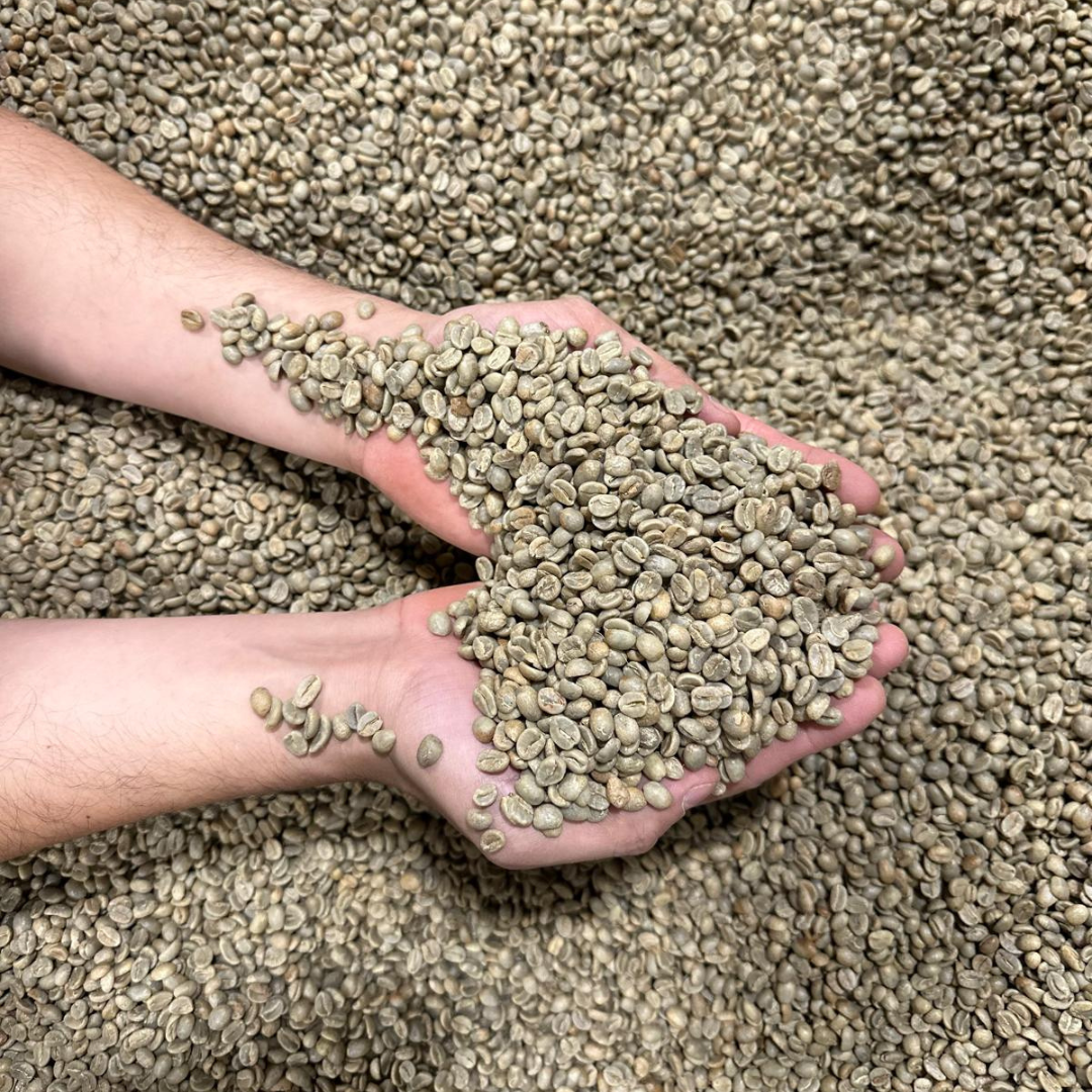 Colombia Cauca (Direct Trade)