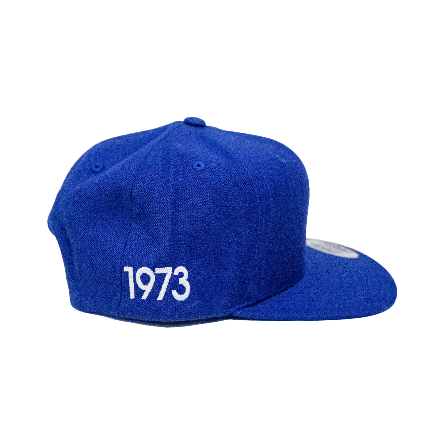 Oughtred Snapback Hat