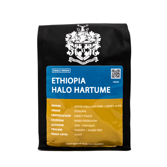 Ethiopia Halo Hartume, Yirgacheffe