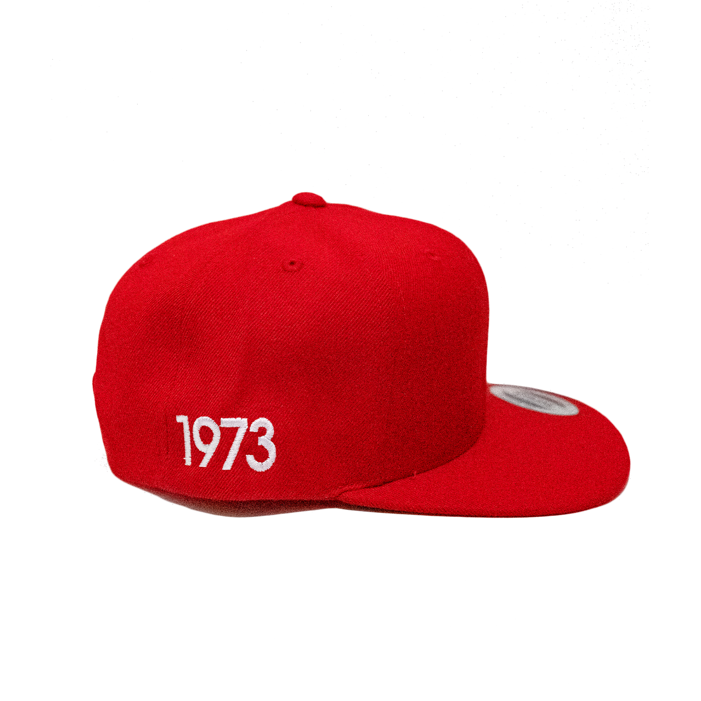 Oughtred Snapback Hat