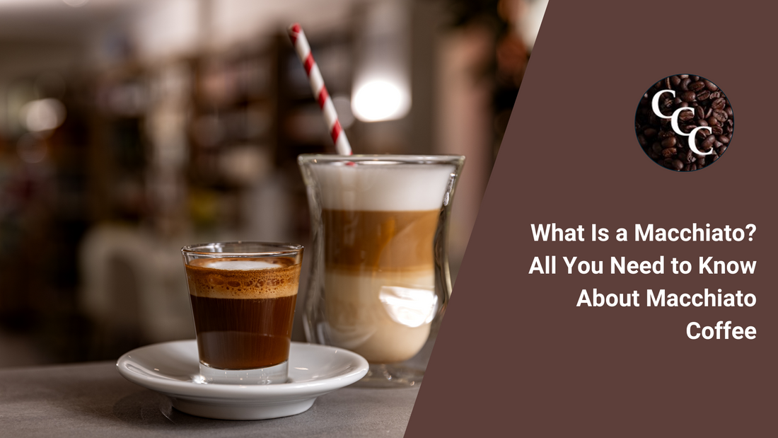 What Is a Macchiato? All You Need to Know About Macchiato Coffee