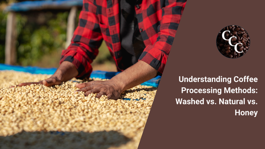 Understanding Coffee Processing Methods: Washed vs Natural vs Honey