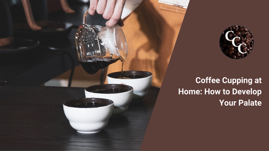 Coffee Cupping at Home: How to Develop Your Palate