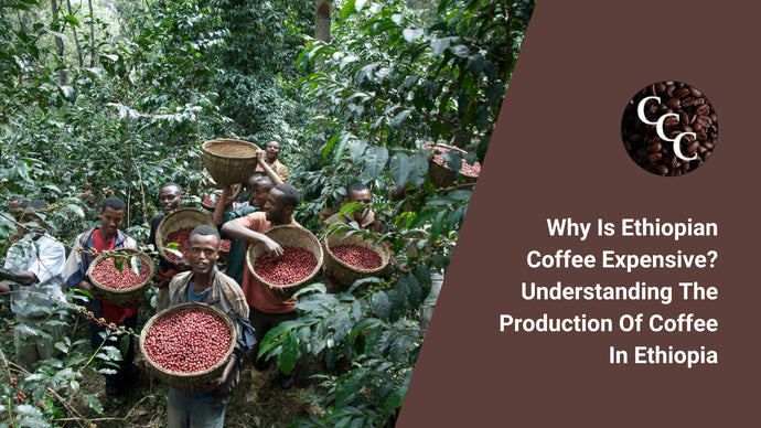 Why is Ethiopian Coffee Expensive? Understanding the Production of Coffee in Ethiopia