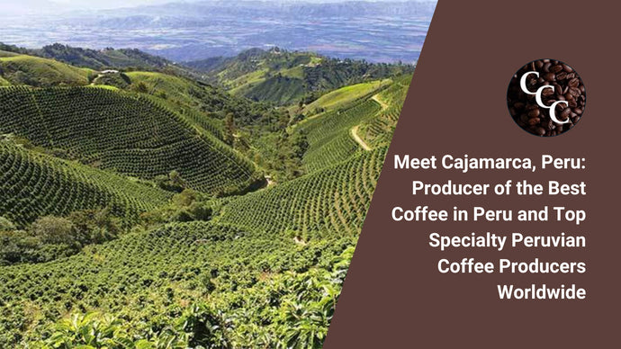 Meet Cajamarca, Peru: Producer of the Best Coffee in Peru and Top Specialty Peruvian Coffee Producers Worldwide