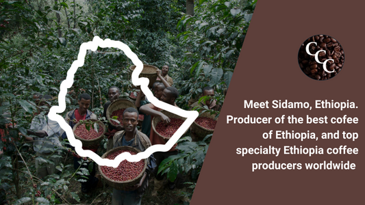 Meet Sidamo, Ethiopia: Home of Ethiopia’s Best Coffee — and How Your Cup Can Help Protect Canadian Wildlife