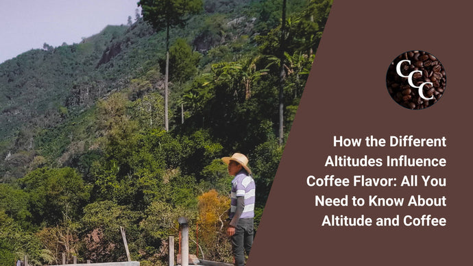 How the Different Altitudes Influence Coffee Flavor: All You Need to Know About Altitude and Coffee