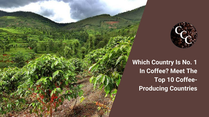 Which Country is No. 1 in Coffee? Meet the Top 10 Coffee Producing Countries