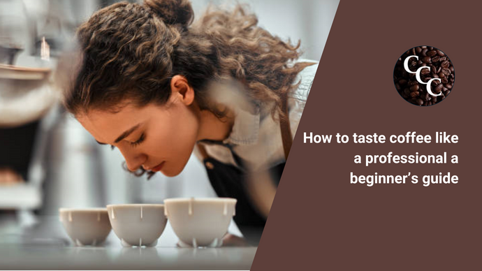 How to taste coffee like a professional: A beginner’s guide