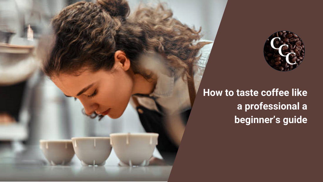 Key Sensory Attributes to Evaluate