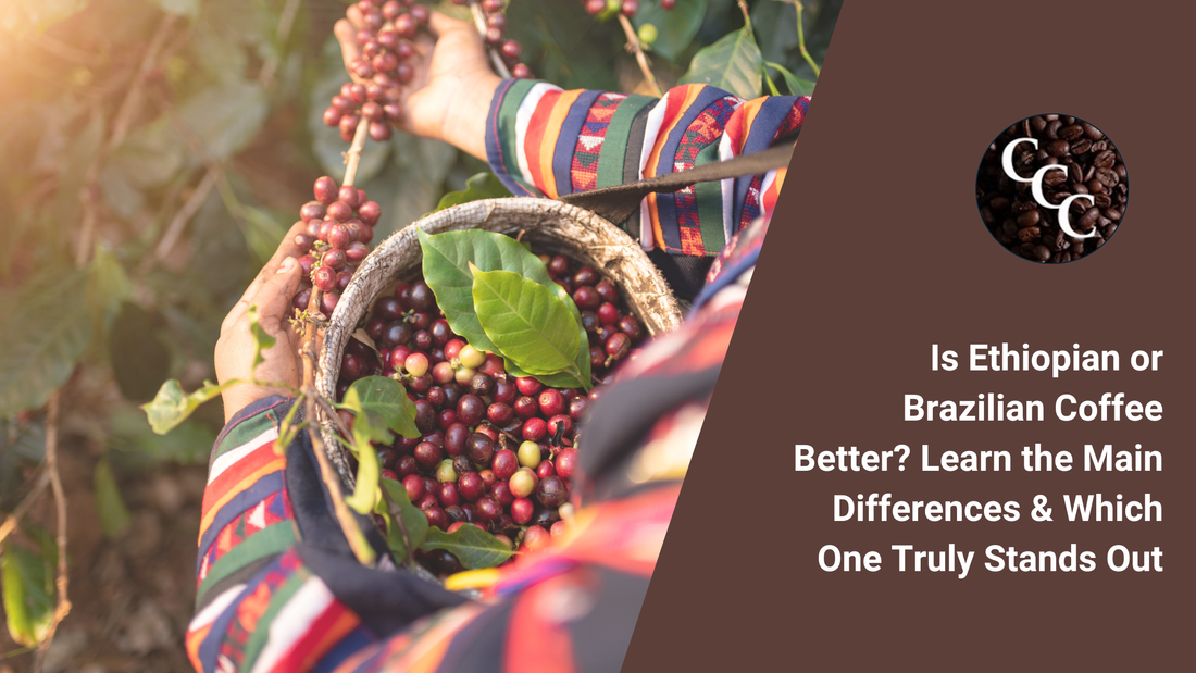 Is Ethiopian or Brazilian Coffee Better? Learn the Main Differences & Which One Truly Stands Out