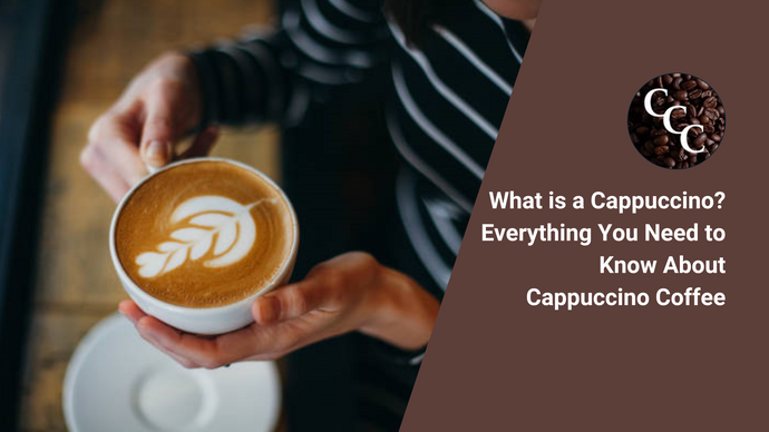 What is a Cappuccino? Everything You Need to Know About Cappuccino Coffee