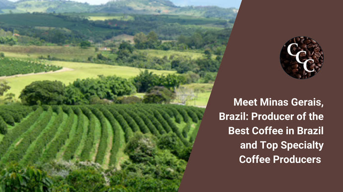 Meet Minas Gerais, Brazil: Producer of the Best Coffee in Brazil and Top Specialty Coffee Producers Worldwide