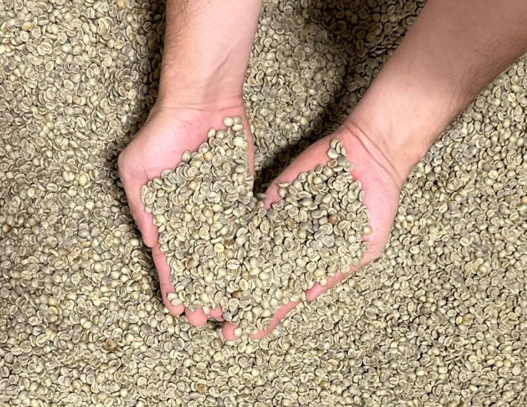 Organic Peru Cajamarca (Direct Trade)
