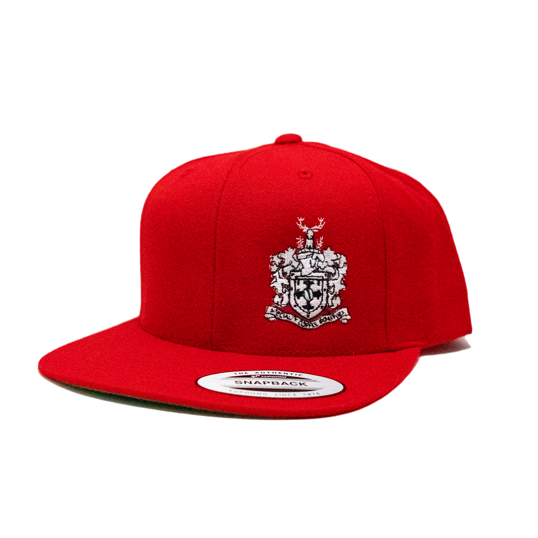 Oughtred Snapback Hat